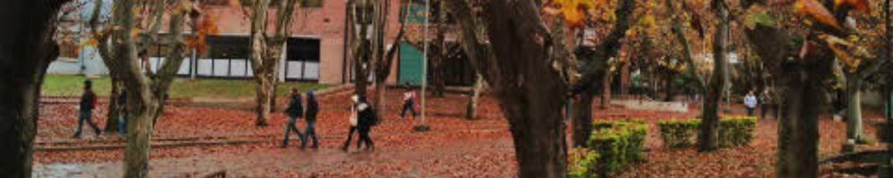 Archivo Histórico UNLu